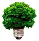 Hoe Duurzaam Doen Loont tips