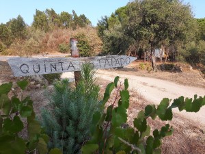 Quinta do Tapado (2017)