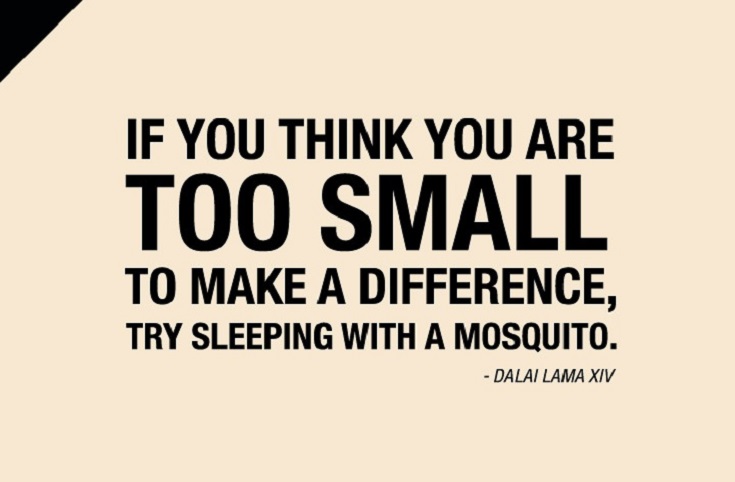 Mijn groener doen en laten in 2018