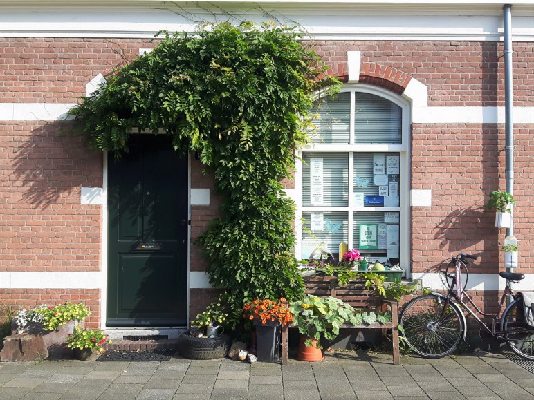 Mijn fijne gevel, vergroenen