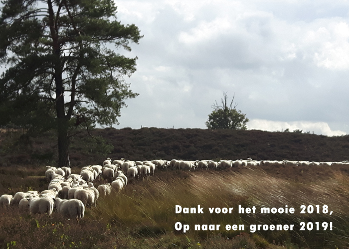 ecologische voetafdruk, goede voornemens