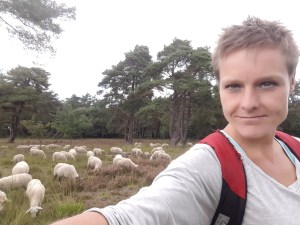 schapen, schapenbegrazing, schaapherder